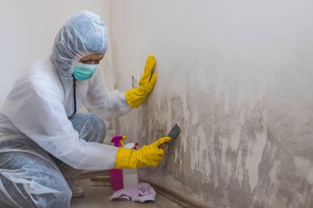 Best Crawl Space Mold Removal  in Fairfax, VA