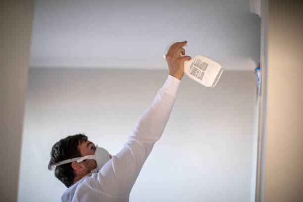 Best Mold Removal Near Me  in Fairfax, VA