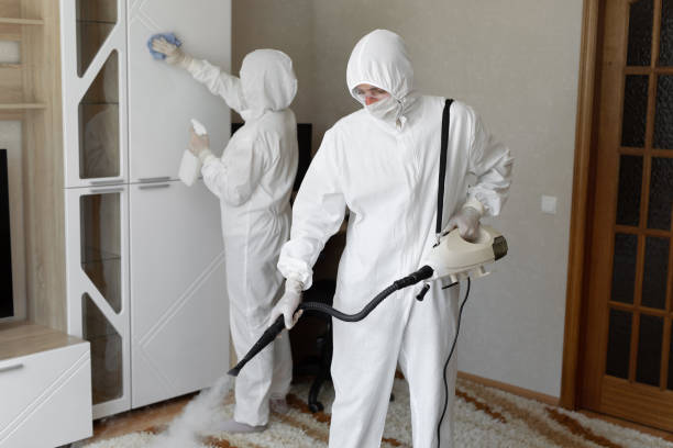 Best Mold Testing  in Fairfax, VA