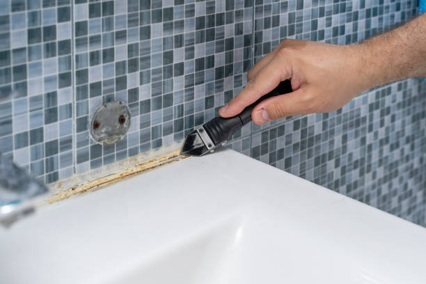 Best Fast Mold Removal  in Fairfax, VA