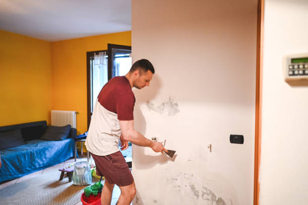 Best Black Mold Removal  in Fairfax, VA